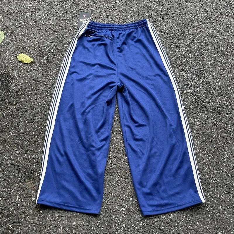 FOESCE 24ss Butterfly Embroidery Wide Leg Sweatpants Oversized Mens Joggers Blue Women Casual Striped Trousers With Tag