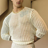 Foesce New Long-sleeved Sexy T-shirt Bottoming Shirt Fashion Woven Solid Color Mesh Knit Slim Tops Men Oversized T Shirt