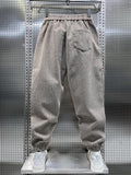 Men's Striped Pants Loose Hip Hop Sportswear New in Popular Japanese Harajuku Trousers Luxury Brand Harem Sweatpants